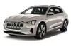 AUDI E-TRON EVERMAT GUMOVÉ KOBERCE (2019-)