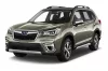 SUBARU FORESTER VANA DO KUFRU (2019-2024)