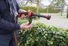 Stříkací pistole Pingi Premium Aquablaster