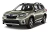 SUBARU FORESTER 3D GUMOVÉ KOBERCE (2019-2024)