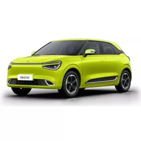 DONGFENG BOX AUTOKOBERCE (2024-)
