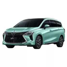 DONGFENG FORTHING U-TOUR AUTOKOBERCE (2020-)