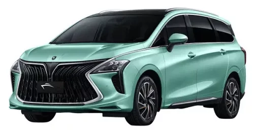 DONGFENG FORTHING U-TOUR GUMOVÉ KOBERCE (2020-)