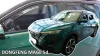 DONGFENG MAGE OFUKY OKEN (2023-)