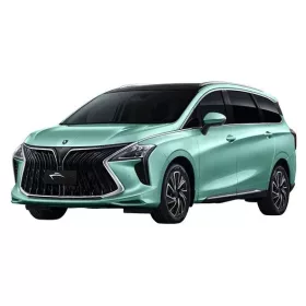   DONGFENG FORTHING U-TOUR PAWA Boční ochranné lišty (2020-)