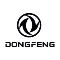 DONGFENG SHINE